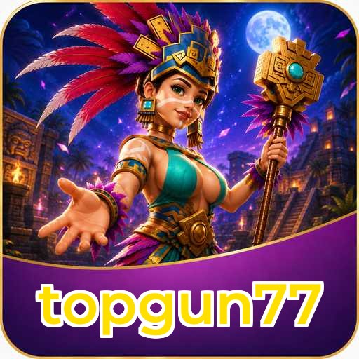 Audit profile topgun77